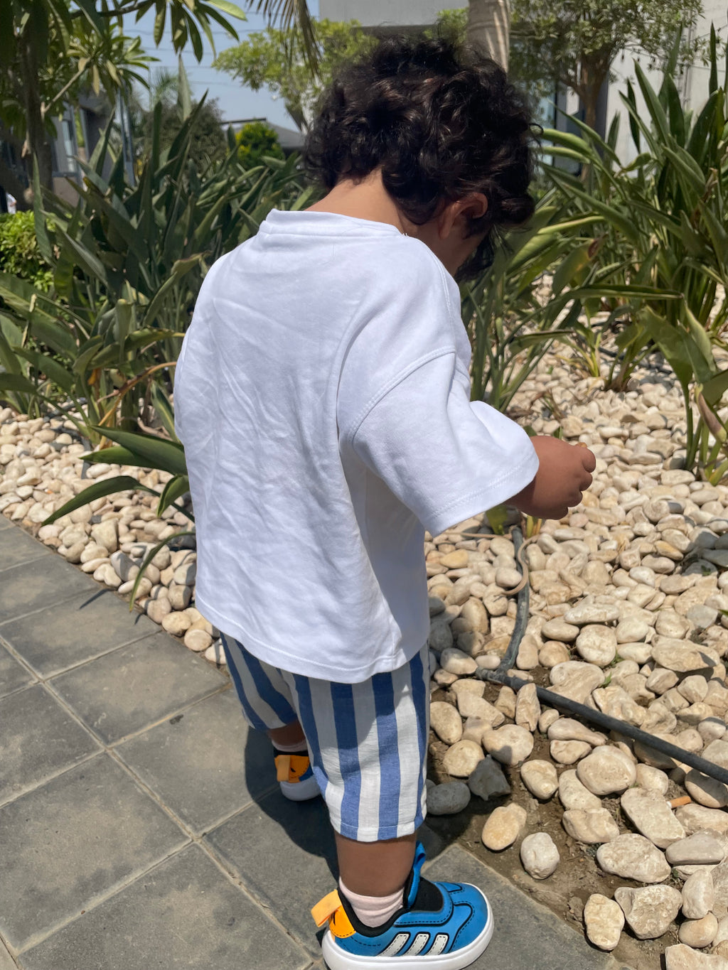 Stripped shorts ( Unisex )