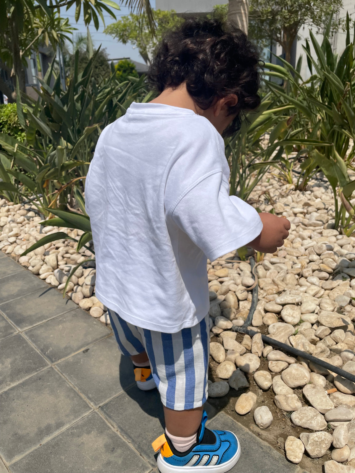 Stripped shorts ( Unisex )